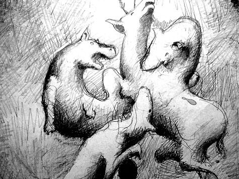 deer, hunting, dogs, kid, perception